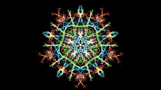 猫那么爱干净，却为什么不喜欢洗澡？